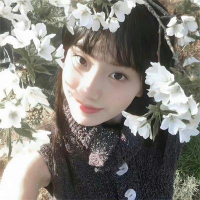 柞蚕