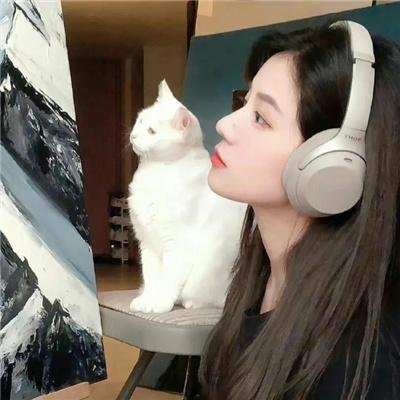 镖王传奇